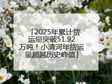2025年累计货运量突破51.92万吨！小清河年货运量超越历史峰值