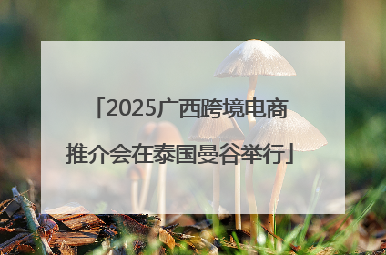2025广西跨境电商推介会在泰国曼谷举行