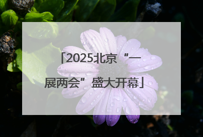 2025北京“一展两会”盛大开幕