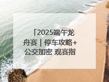 2025端午龙舟赛｜停车攻略+公交加密 观赛指南来了！