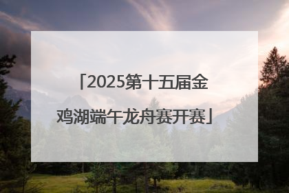 2025第十五届金鸡湖端午龙舟赛开赛