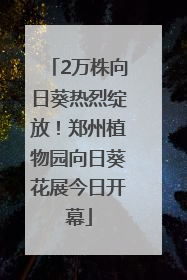 2万株向日葵热烈绽放！郑州植物园向日葵花展今日开幕