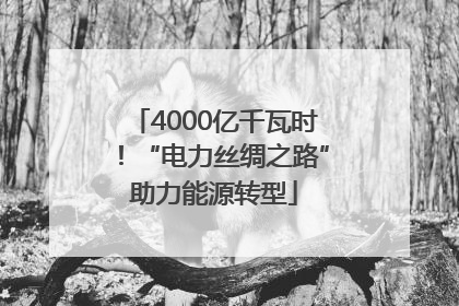 4000亿千瓦时！“电力丝绸之路”助力能源转型