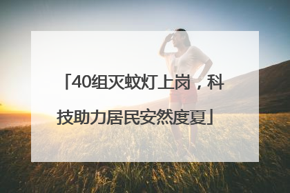 40组灭蚊灯上岗，科技助力居民安然度夏