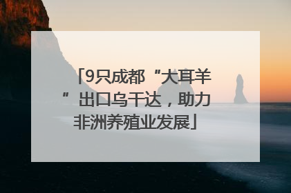 9只成都“大耳羊”出口乌干达，助力非洲养殖业发展