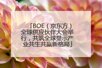 BOE（京东方）全球供应伙伴大会举行，共筑全球显示产业共生共赢新格局