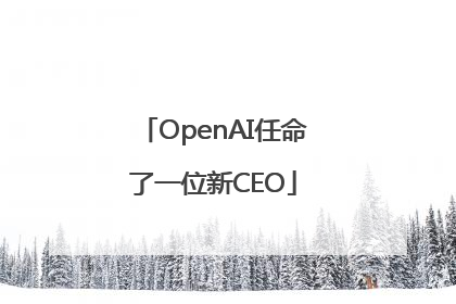OpenAI任命了一位新CEO